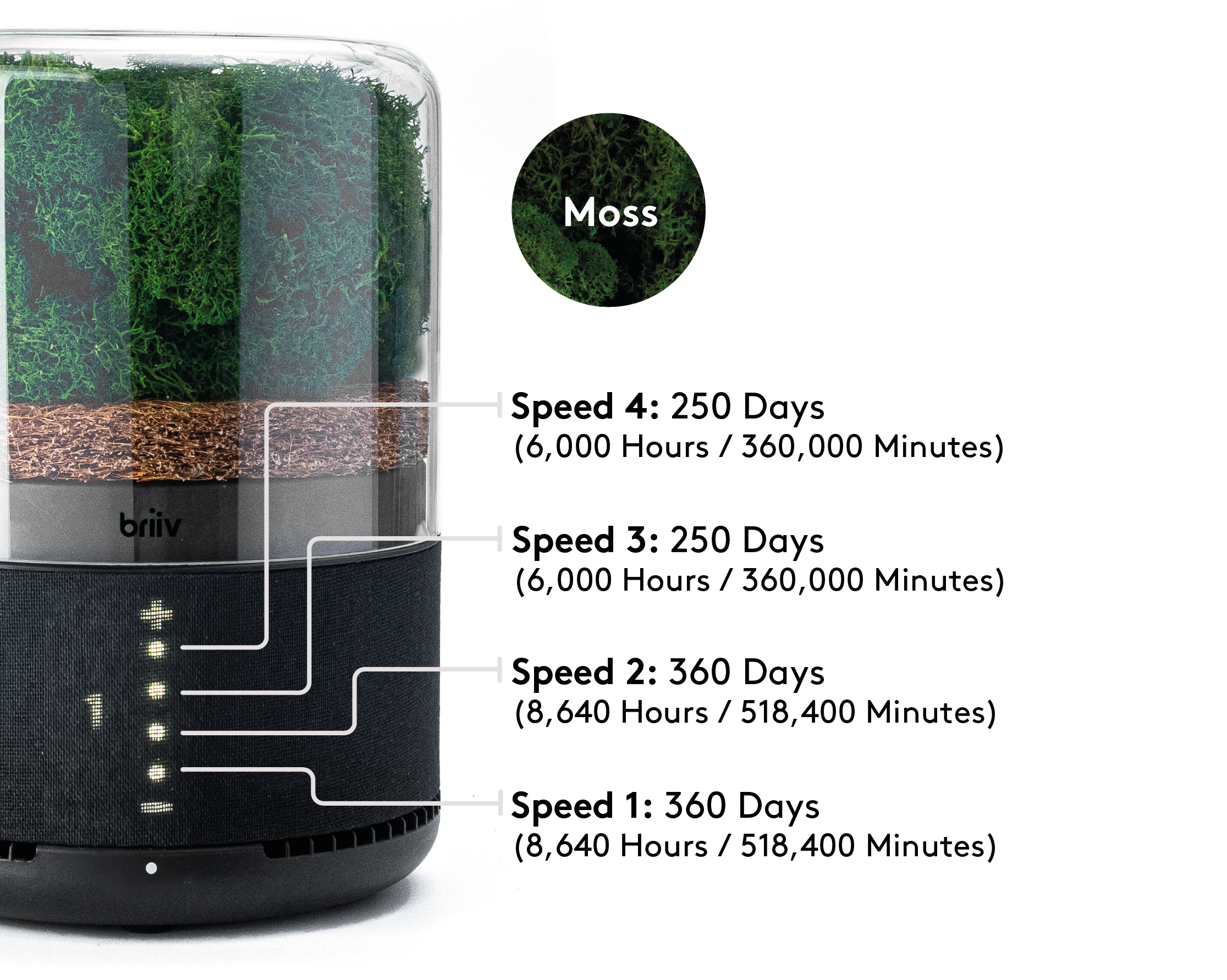 Design_Assets-08.png